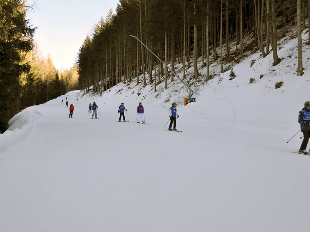 Skifahrende auf der Waldpiste im warmen Licht.